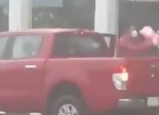 Homem compra todo o algodão doce de velhinho que trabalhava no meio da chuva