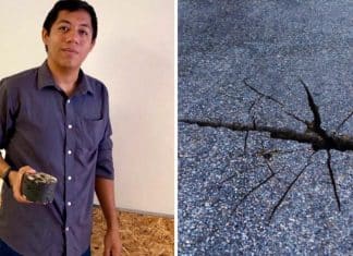 Jovem engenheiro cria pavimento que se regenera com água