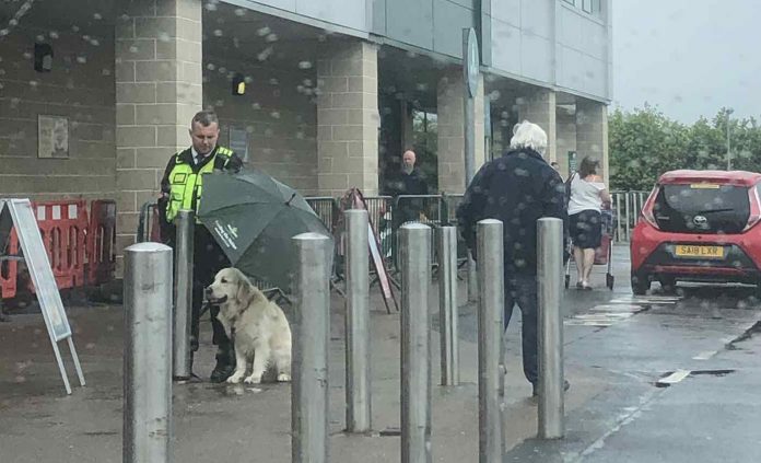 Segurança viraliza ao ser flagrado segurando guarda-chuva para proteger cão de rua da chuva