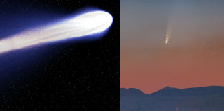 Cometa poderá ser visto no Brasil a partir dessa semana; saiba mais