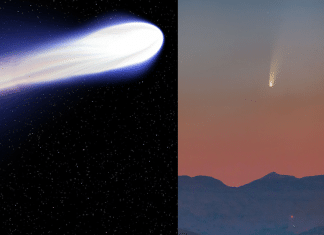 Cometa poderá ser visto no Brasil a partir dessa semana; saiba mais