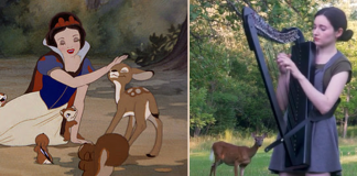 Mulher toca harpa e com sua música, atrai um pequeno cervo para perto. Uma cena digna da Disney; assista.