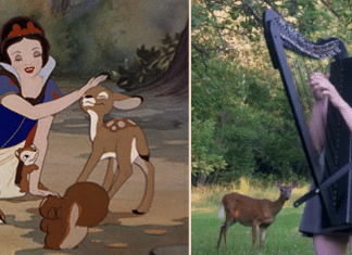 Mulher toca harpa e com sua música, atrai um pequeno cervo para perto. Uma cena digna da Disney; assista.