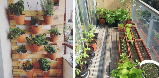 Curso online e gratuito dará dicas de como montar uma horta em casa. Esse é o nosso momento! Curso online e gratuito dará dicas de como montar uma horta em casa. Esse é o nosso momento!