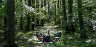 Restaurante coloca suas mesas em meio à natureza para um belo jantar isolado
