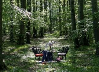 Restaurante coloca suas mesas em meio à natureza para um belo jantar isolado