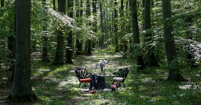 Restaurante coloca suas mesas em meio à natureza para um belo jantar isolado