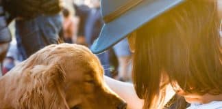 Você não é obrigado a adotar um animal!