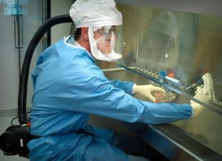 Vacina contra o câncer já está apta a ser testada em humanos