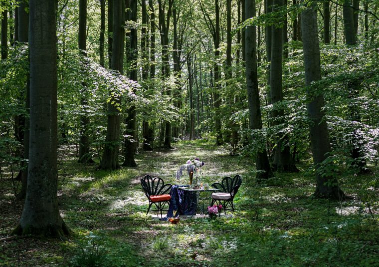 contioutra.com - Restaurante coloca suas mesas em meio à natureza para um belo jantar isolado