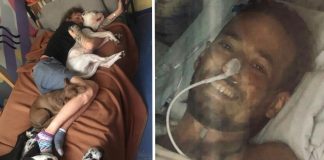 Homem pula em poço de enxofre para salvar cachorro e não resiste aos ferimentos; deu a vida pelo amigo