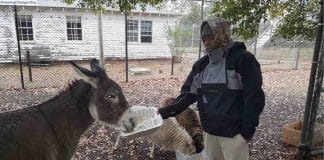 Ong tira jovens do crime ensinando-lhes o lindo ofício de plantar e colher os próprios alimentos
