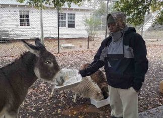 Ong tira jovens do crime ensinando-lhes o lindo ofício de plantar e colher os próprios alimentos