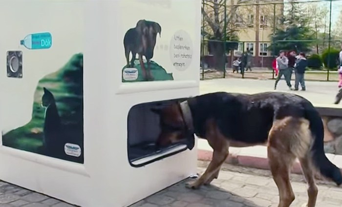 contioutra.com - Empresa cria máquina que troca garrafas pet vazias por comida para animais de rua