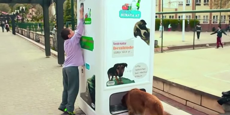 contioutra.com - Empresa cria máquina que troca garrafas pet vazias por comida para animais de rua