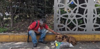 Ele vaga pelas ruas com seu cachorrinho depois de perder sua casa e trabalhar para a COVID-19