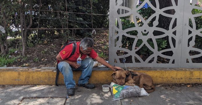 Ele vaga pelas ruas com seu cachorrinho depois de perder sua casa e trabalhar para a COVID-19