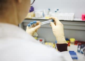 Cientistas anunciam que vacina contra Covid-19 é segura e induz resposta imune