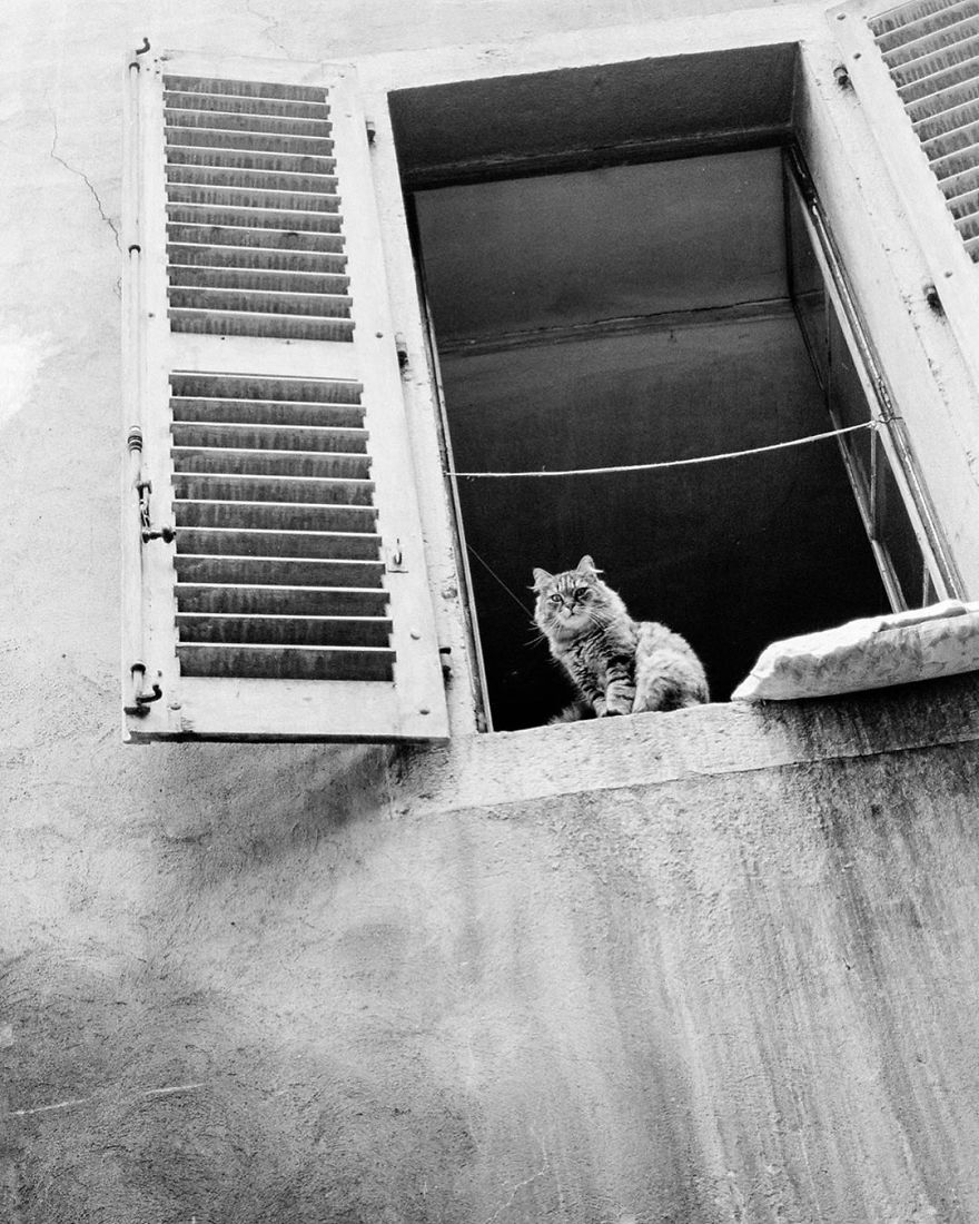 contioutra.com - Neto descobre coleção de fotos não vistas que seu avô tirou mais de meio século atrás