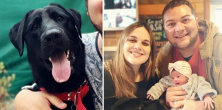 Conheça José Ignácio, um cachorrinho que salvou sua família de um vazamento de gás.