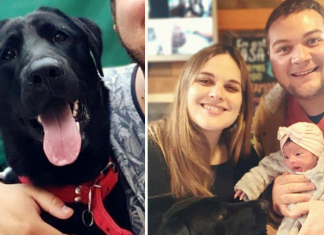 Conheça José Ignácio, um cachorrinho que salvou sua família de um vazamento de gás.