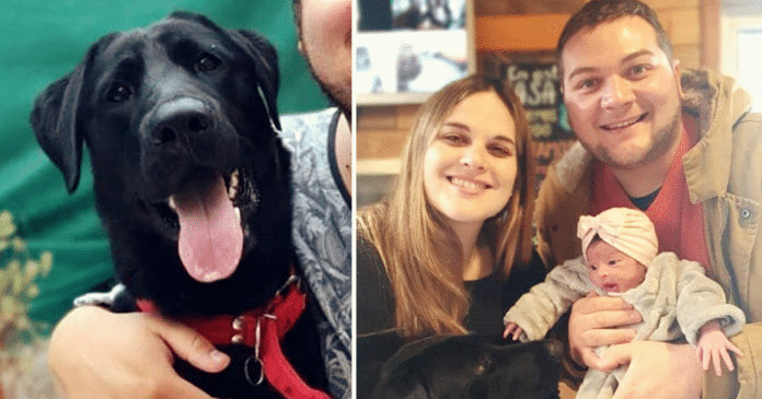 Conheça José Ignácio, um cachorrinho que salvou sua família de um vazamento de gás.