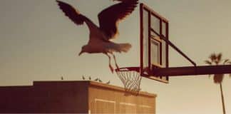 Quanto mais preciso você for, mais precioso se tornará Quanto mais preciso você for, mais precioso se tornará