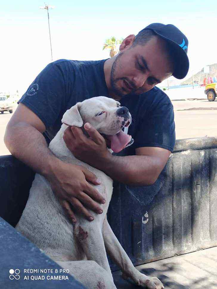 contioutra.com - Ele levou seu cachorrinho doente para um último passeio antes de seu descanso eterno.