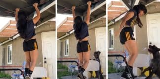 Cachorrinho vê sua dona fazendo flexões e arrasta uma cadeira para “salvá-la”