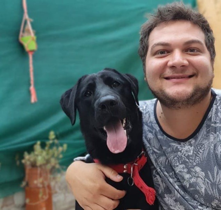 contioutra.com - Conheça José Ignácio, um cachorrinho que salvou sua família de um vazamento de gás.