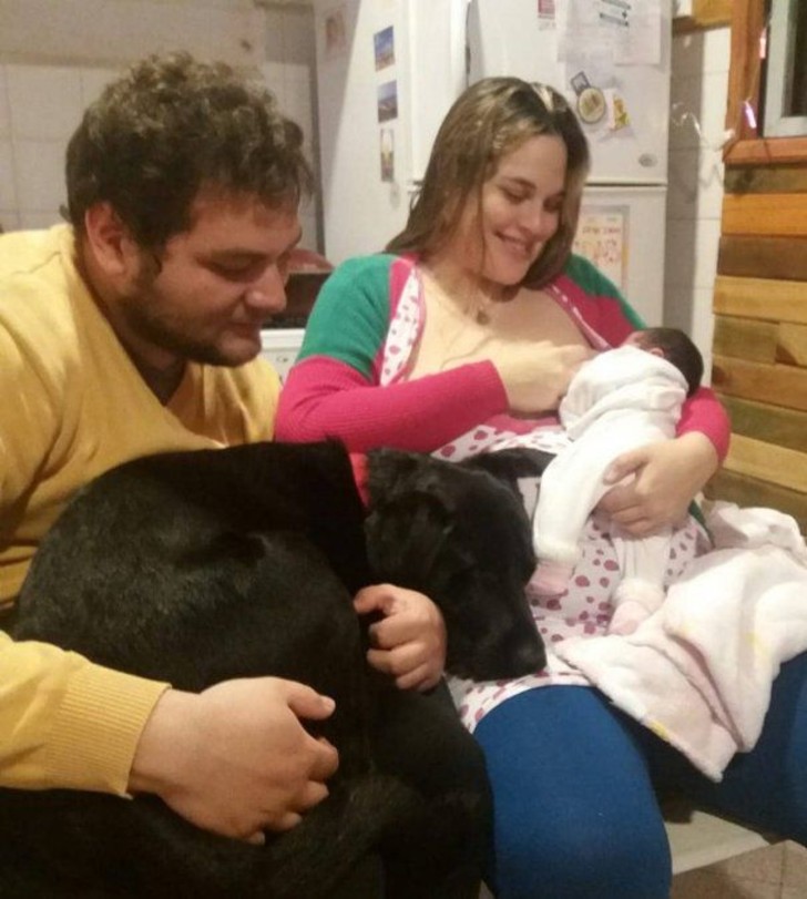 contioutra.com - Conheça José Ignácio, um cachorrinho que salvou sua família de um vazamento de gás.