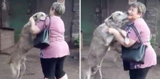 Mulher tem reencontro emocionante com cão que lhe foi roubado dois anos antes