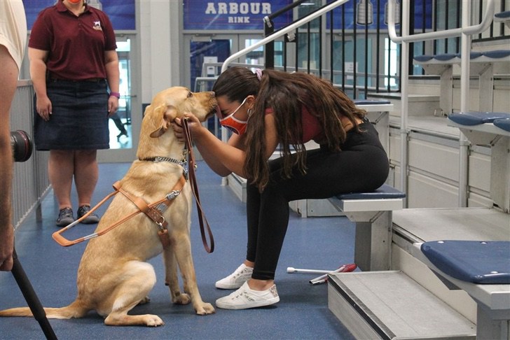 contioutra.com - Nadadora de 16 anos com deficiência visual conta com seu cão-guia para ajudá-la a treinar, ele é seu “par perfeito”.