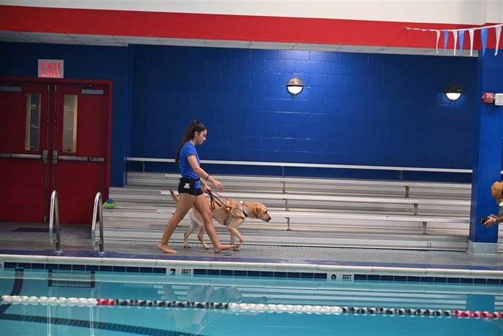 contioutra.com - Nadadora de 16 anos com deficiência visual conta com seu cão-guia para ajudá-la a treinar, ele é seu “par perfeito”.
