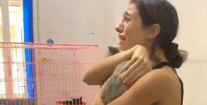 Moradora de Beirute se emociona ao reencontrar gatinho que estava perdido desde a explosão