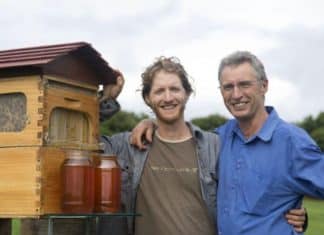 Pai e filho criam projeto que resultou em um aumento de 10% nas colônias de abelhas do mundo.