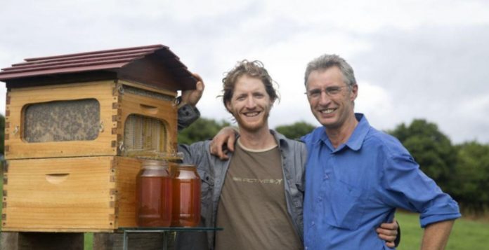 Pai e filho criam projeto que resultou em um aumento de 10% nas colônias de abelhas do mundo.