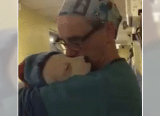 Assista vídeo de veterinário confortando cachorrinha que chorava muito após cirurgia. Um momento único!