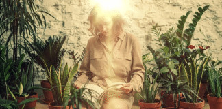 7 plantas curativas com as quais você deve se cercar