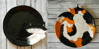 Nenhum amante de gatos será capaz de resistir a esses pratos de cerâmica decorativos