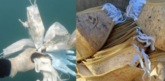 Filipinos criam máscaras ecológicas feitas da bananeira que se degradam em apenas 2 meses.