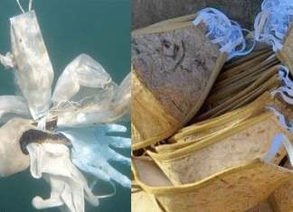 Filipinos criam máscaras ecológicas feitas da bananeira que se degradam em apenas 2 meses.