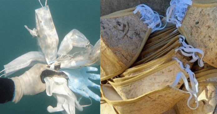 Filipinos criam máscaras ecológicas feitas da bananeira que se degradam em apenas 2 meses.