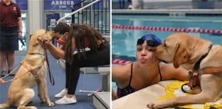 Nadadora de 16 anos com deficiência visual conta com seu cão-guia para ajudá-la a treinar, ele é seu “par perfeito”.