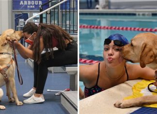Nadadora de 16 anos com deficiência visual conta com seu cão-guia para ajudá-la a treinar, ele é seu “par perfeito”.