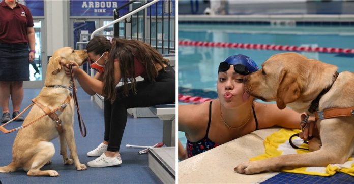 Nadadora de 16 anos com deficiência visual conta com seu cão-guia para ajudá-la a treinar, ele é seu “par perfeito”.
