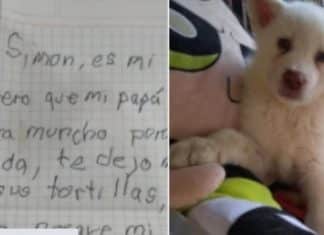 Garoto deixa cãozinho em abrigo com uma cartinha: “não deixem que meu pai o pegue, ele bate muito nele”
