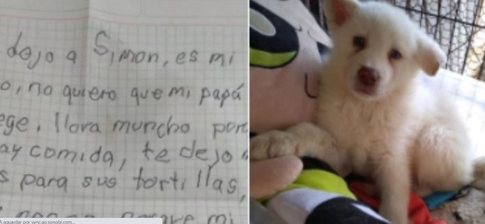 Garoto deixa cãozinho em abrigo com uma cartinha: “não deixem que meu pai o pegue, ele bate muito nele”
