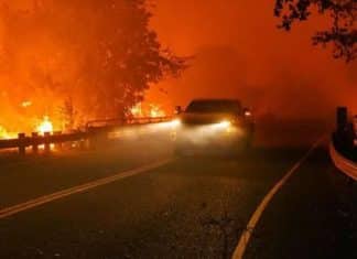 Menino de 14 anos pega carro do tio e sai dirigindo para escapar de incêndio: É como jogar videogame