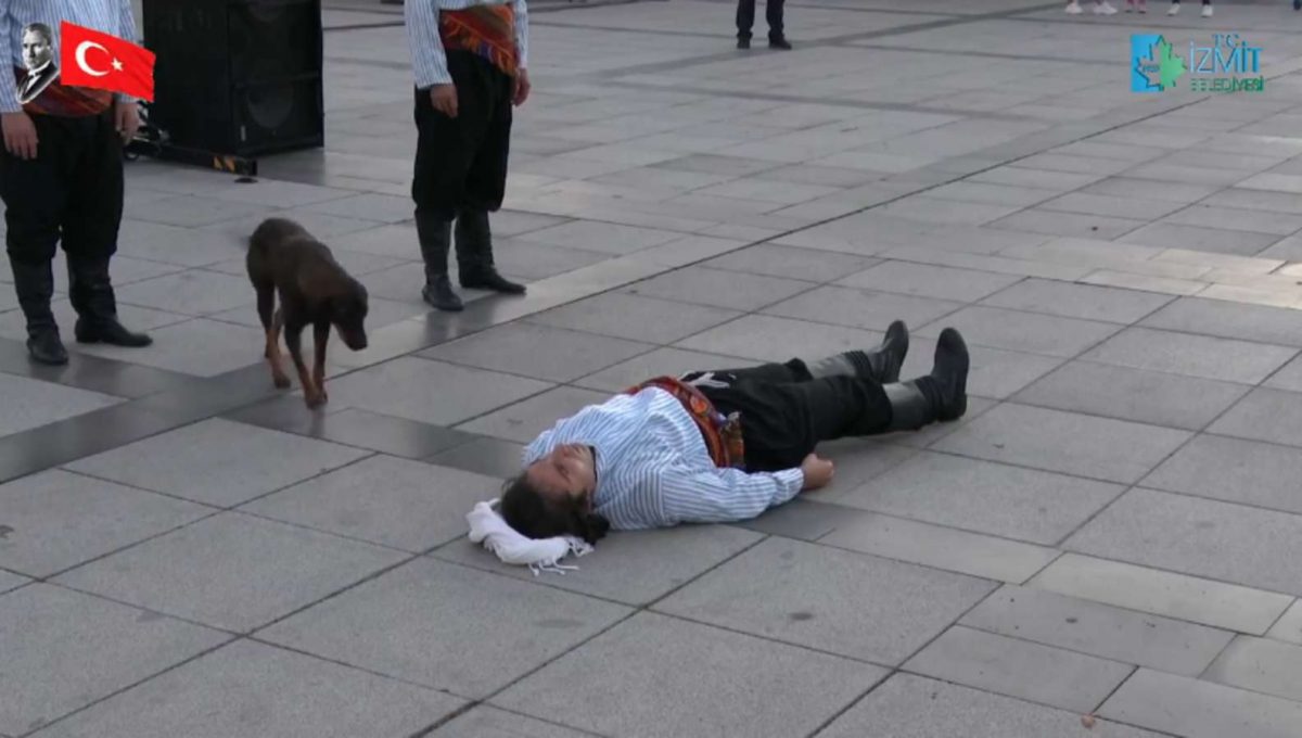 contioutra.com - Cão de rua interrompe peça de teatro para “salvar” ator que fingia estar ferido